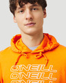 O'Neill Triple Sweatshirt
